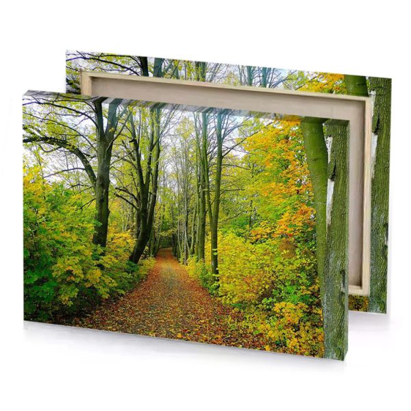 a path through forest with lots of trees dark golden rod canvas - Image 4