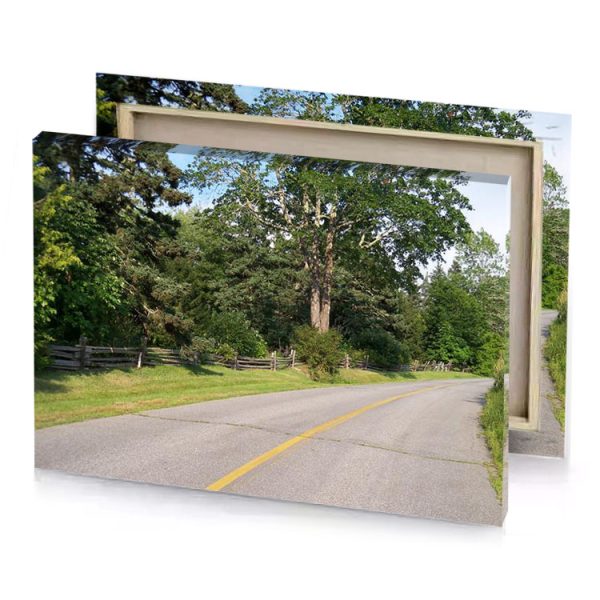 a paved road with bench and tree dark olive green canvas - Image 4