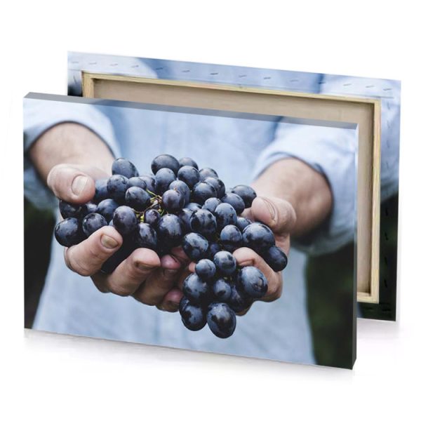 a person holding bunch of grapes in their hands charcoal canvas - Image 4