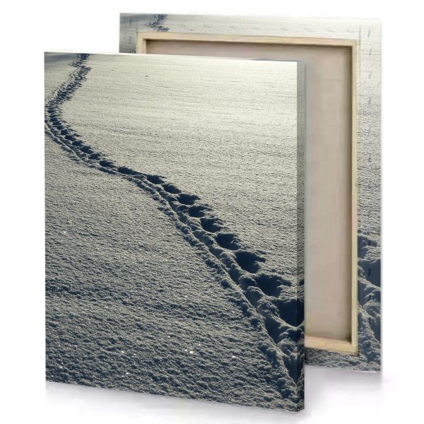 a person walking on snow covered path silver canvas - Image 4