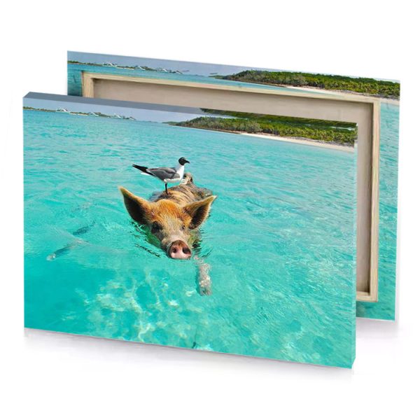 a pig swimming in the ocean medium turquoise canvas - Image 4