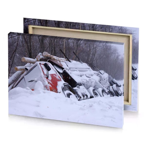 a pile of snow garnet canvas - Image 4