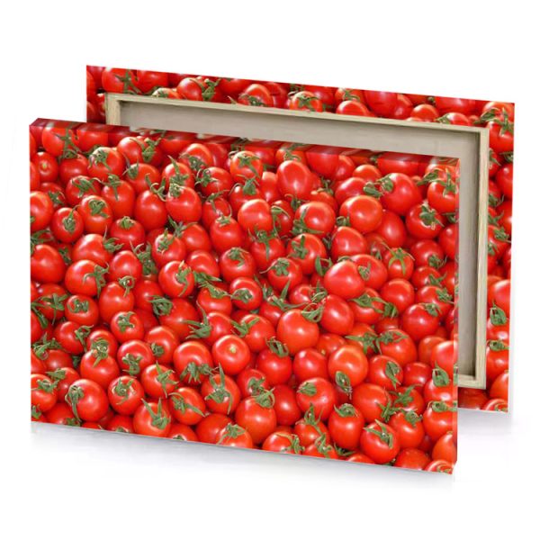 a pile of tomatoes lust canvas - Image 4
