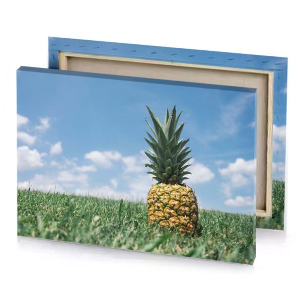 a pineapple on green grass field dark khaki canvas - Image 4