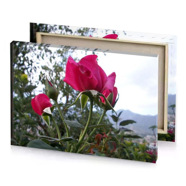 a pink flower with green stem brown canvas - Image 4