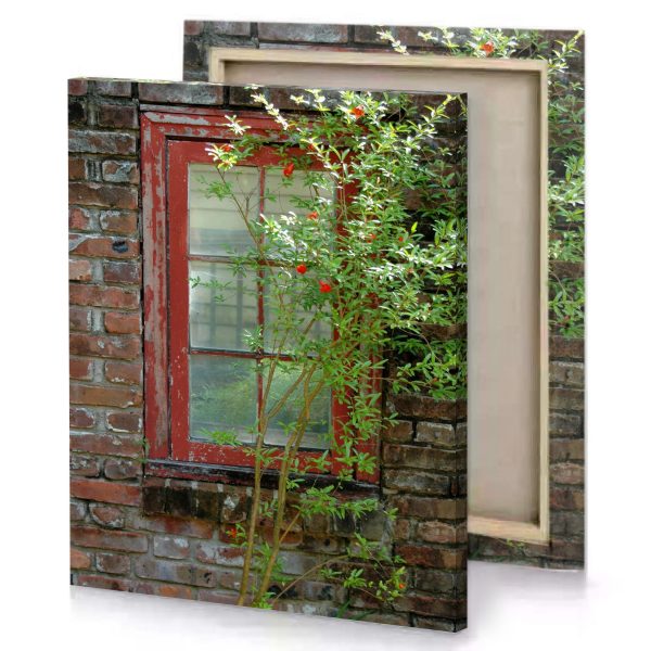 a plant in window camouflage green canvas - Image 4