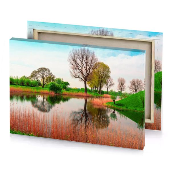 a pond with tree in the middle platinum canvas - Image 4