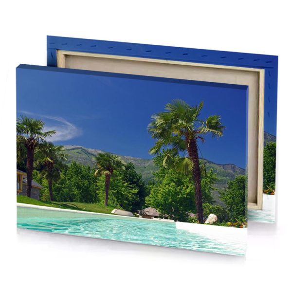 a pool with palm tree and house in the background dark olive green canvas - Image 4