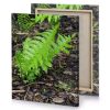a small green plant growing in the ground olive drab canvas - Image 4