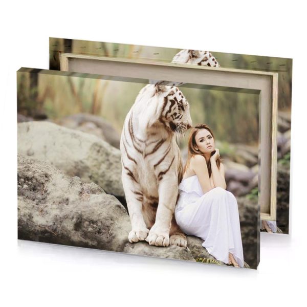 a woman sitting on rock with tiger silver canvas - Image 4