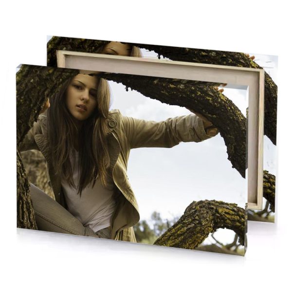 a woman sitting on tree branch bistre canvas - Image 4