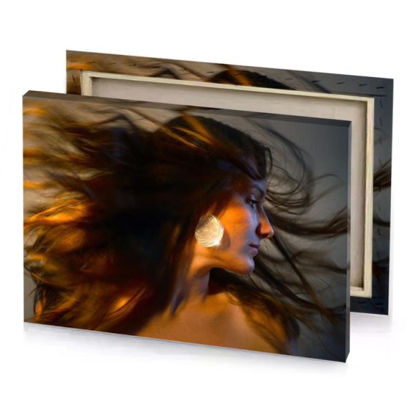 a woman with long hair blowing in the wind smoky black canvas - Image 4
