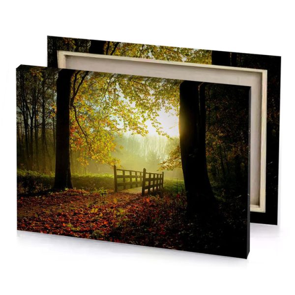 a wooden bridge in forest with leaves on the ground peru canvas - Image 4