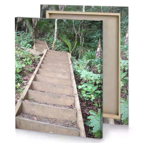 a wooden staircase in the jungle silver canvas - Image 4