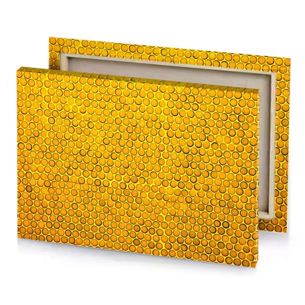 a yellow background with circles canvas - Image 4