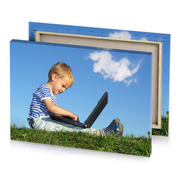 a young boy sitting on the grass with laptop iceberg canvas - Image 4