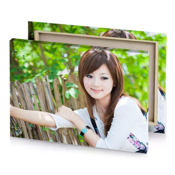 a young woman leaning against fence platinum canvas - Image 4