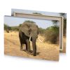 an elephant walking on a dirt road in the wild dark olive green canvas - Image 4