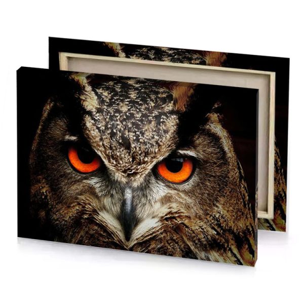 an owl with orange eyes is staring camouflage green canvas - Image 4