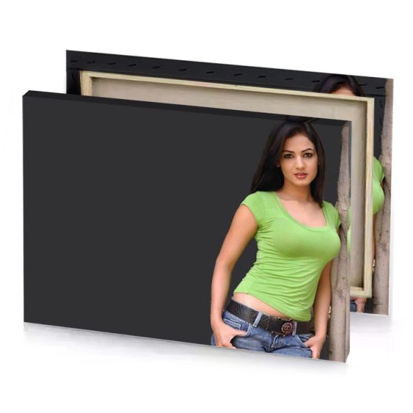 beautiful indian girl in jeans bistre canvas - Image 4