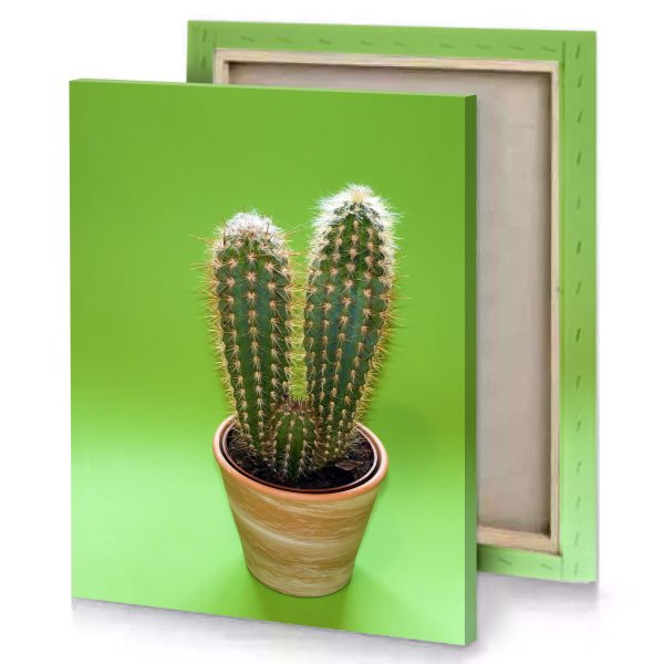 cactus in a pot on green background dark olive canvas - Image 4