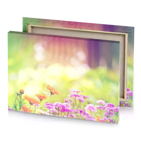 colorful flowers in the sunlight light golden rod yellow canvas - Image 4