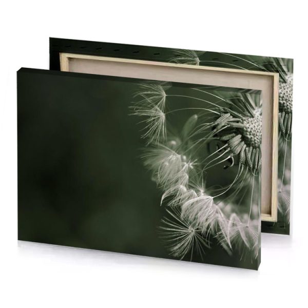 dandels in the dark hunter green canvas - Image 4