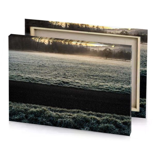 frosty field with trees and a fog camouflage green canvas - Image 4