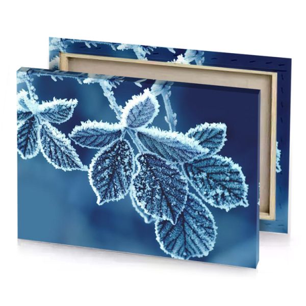 frosty leaves on a branch dark cornflower blue canvas - Image 4