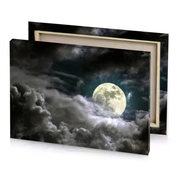 full moon in the clouds manatee canvas - Image 4