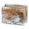 good night quotes sienna canvas - Image 4