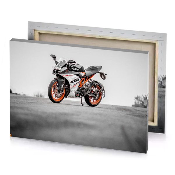 ktm manatee canvas - Image 4