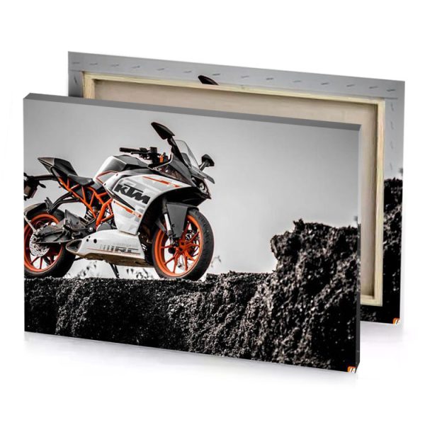 ktm silver canvas - Image 4