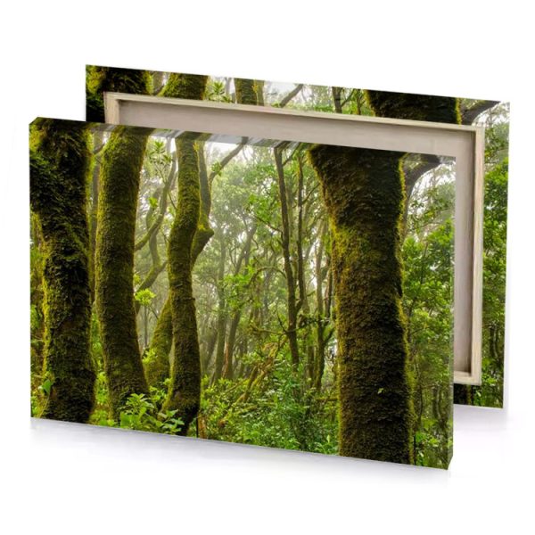 moss covered trees in the rainforest olive drab canvas - Image 4