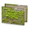 moss growing on a brick wall olive drab canvas - Image 4