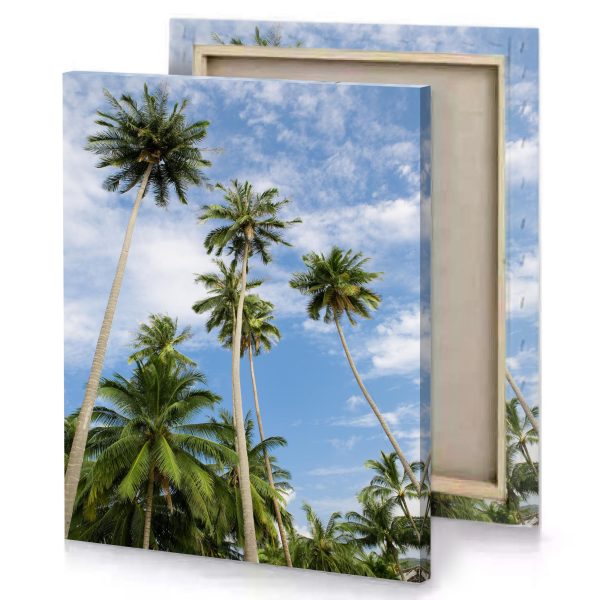 palm trees against a blue sky iceberg canvas - Image 4