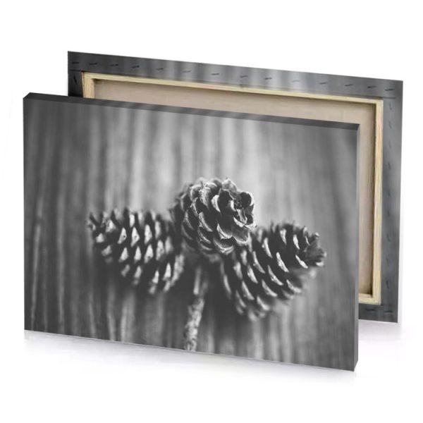 pine cones on a wooden table silver canvas - Image 4