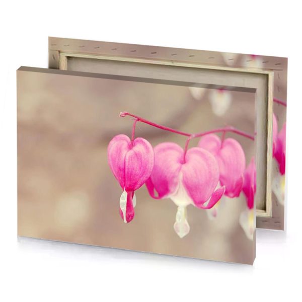 pink flowers on a branch light canvas - Image 4