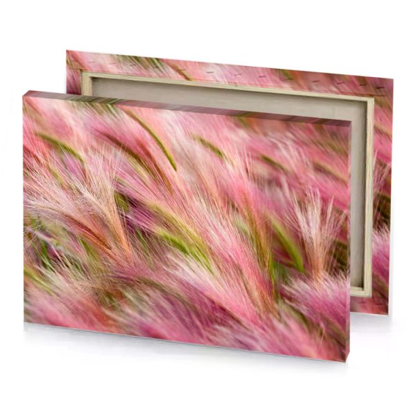 pink grass in the wind fuzzy wuzzy brown canvas - Image 4