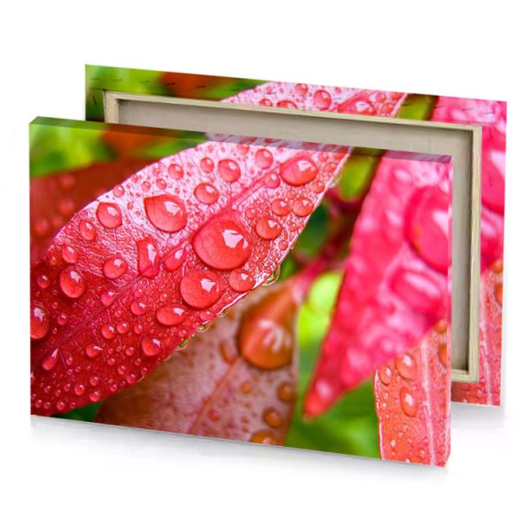 red leaves with water droplets vermilion canvas - Image 4
