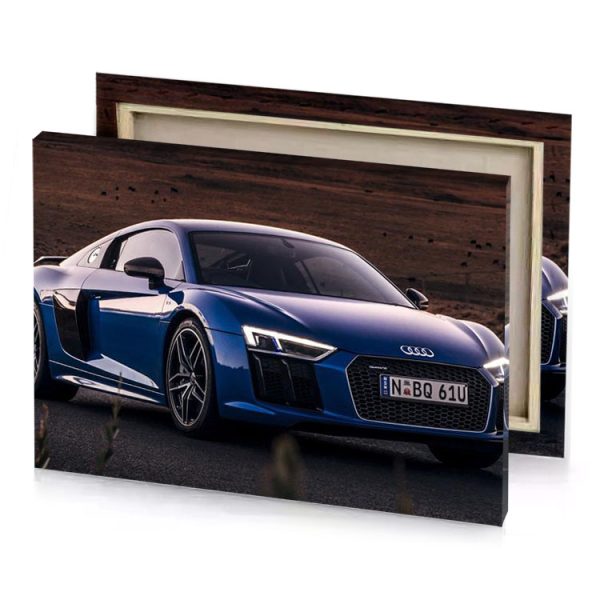 the audi sports car is shown in this image sapphire canvas - Image 4