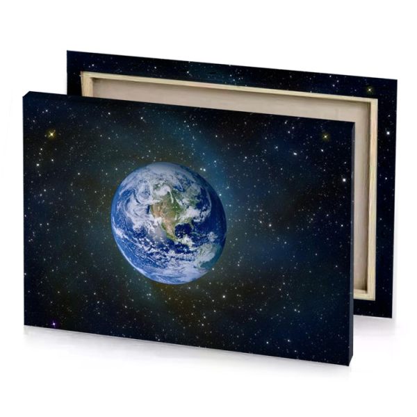 the earth in space manatee canvas - Image 4