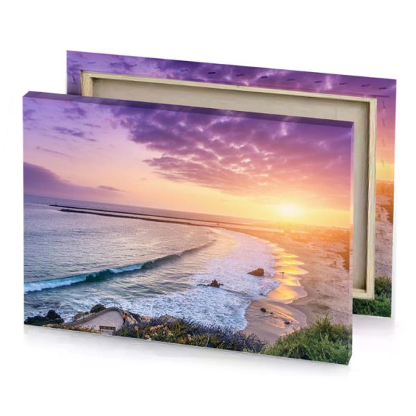 the sky is purple manatee canvas - Image 4