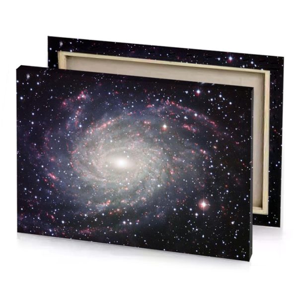 the spiral galaxy manatee canvas - Image 4