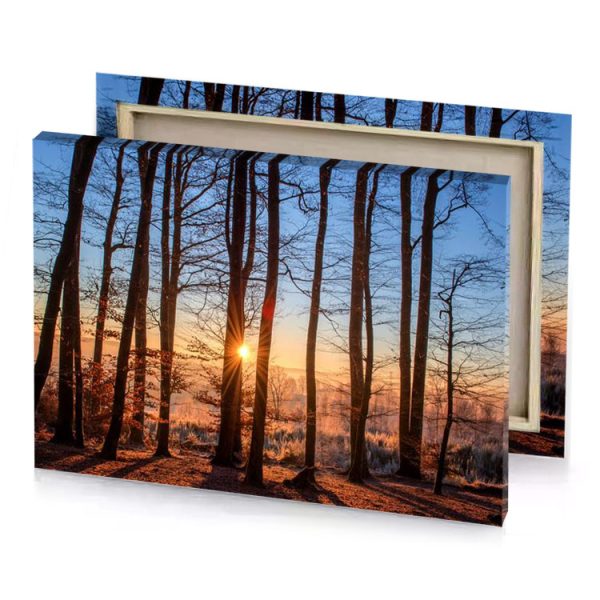 the sun is setting behind trees steel blue canvas - Image 4
