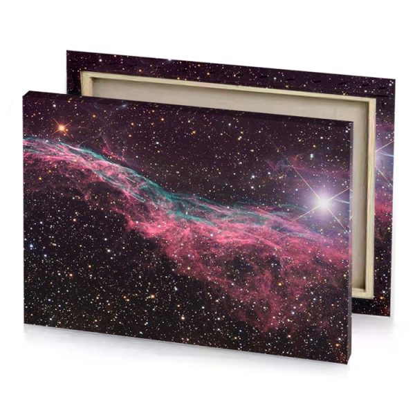 the taranui nebula fuzzy wuzzy brown canvas - Image 4