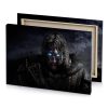 the witch in dark knight wallpaper bistre canvas - Image 4