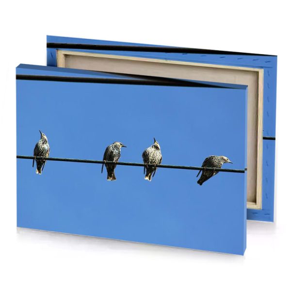 three birds sitting on a wire iceberg canvas - Image 4