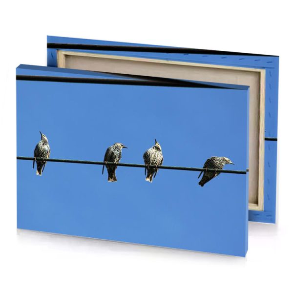 three birds sitting on a wire sage canvas - Image 4