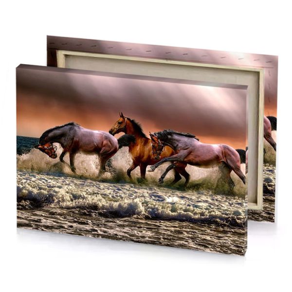 three horses running in the water garnet canvas - Image 4